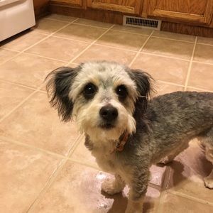 Meet your Posher, Brandon